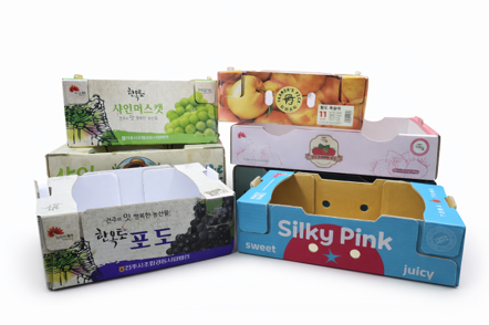 컬러박스 제품 2